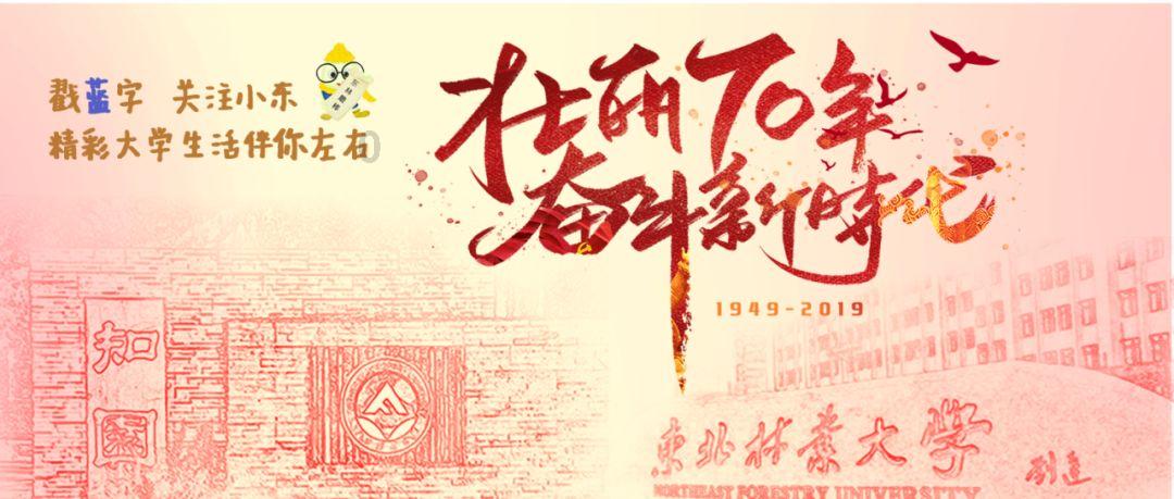 破碎的动物图形2