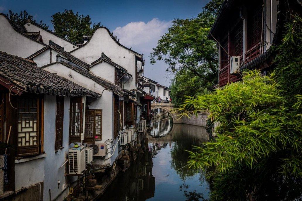 可爱啄木鸟逃脱